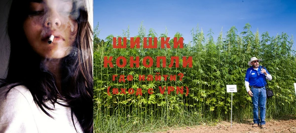 шишки Осташков