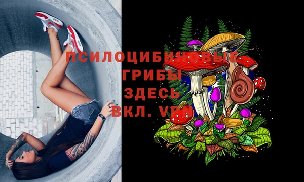 дживик Переславль-Залесский