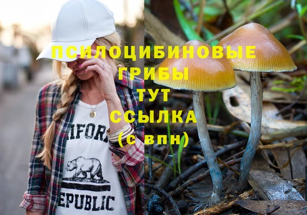 амфетамин Пестово