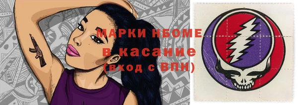 шишки Осташков