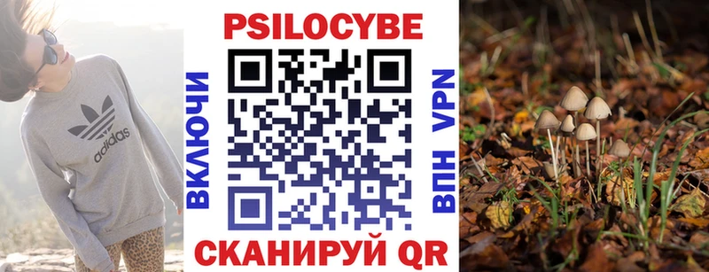 OMG Магадан Псилоцибиновые грибы Magic Shrooms