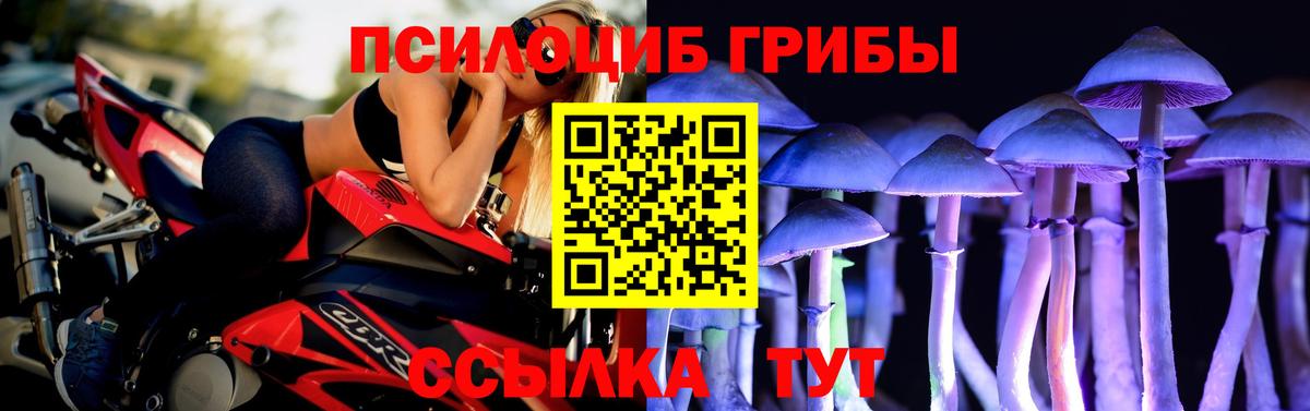 Псилоцибиновые грибы мицелий  Магадан 